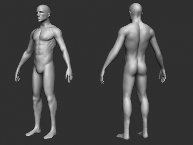 Male Base 3D model
