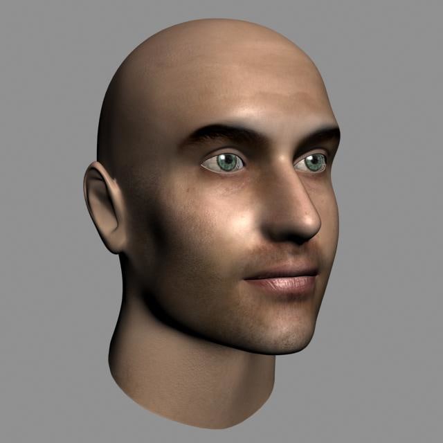 Male Face 3D model