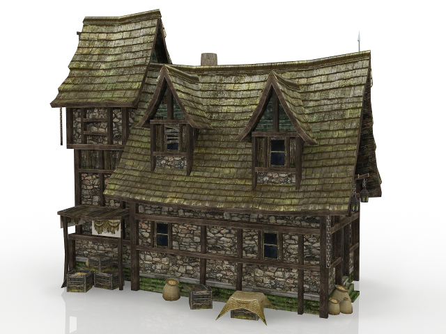 Fantasy medieval house 3D model