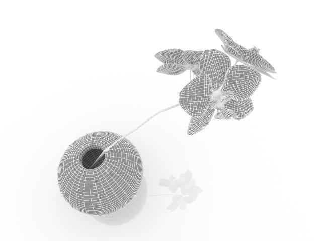 Orchid in vase 3D model