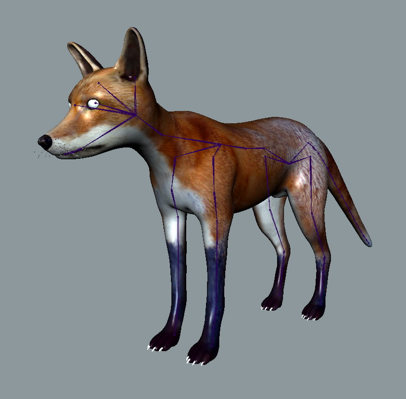 Red Fox 3D model