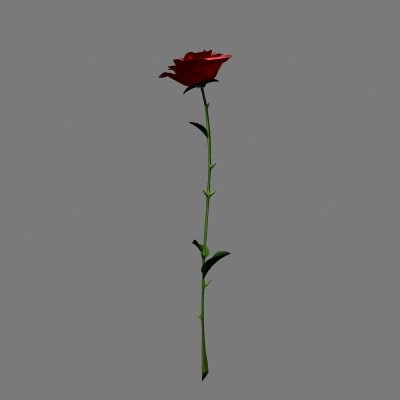 Red Rose 3D model