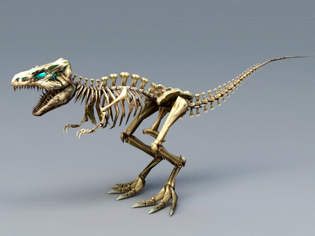 Skeleton T-Rex 3D model