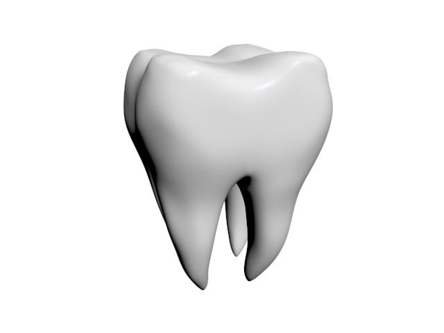 Tooth 3D model