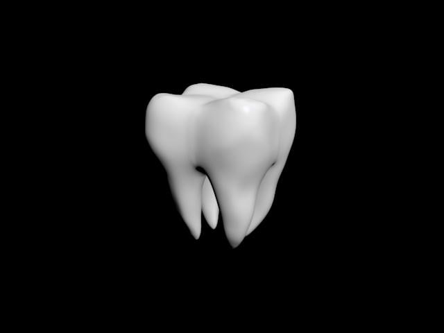 Tooth 3D model