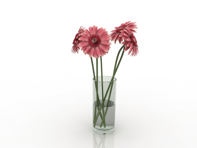 Vase with gerberas 3D model