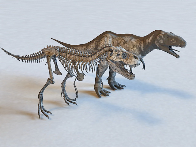 Tyrannosaurus Rex and Skeleton 3d model