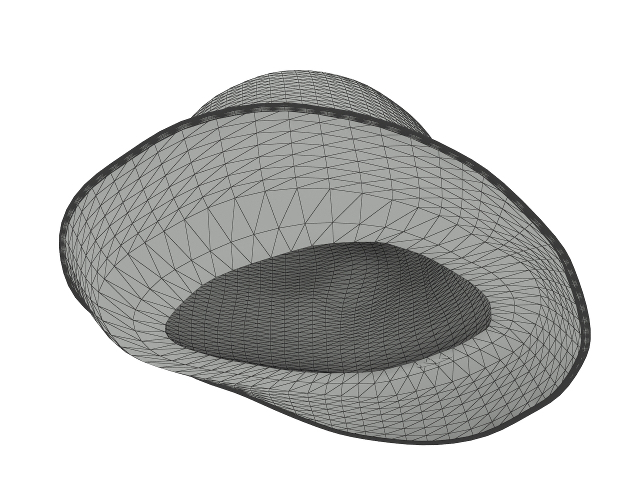Gray hat 3D model