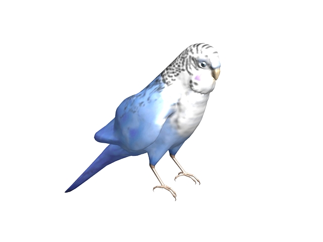Blue parrot 3D model