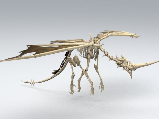 Dragon Skeleton 3D model