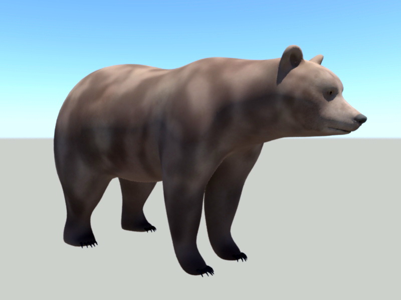 Brown Bear 3D model