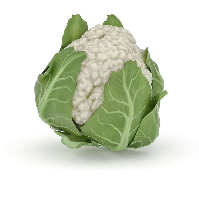 Cauliflower 3D model