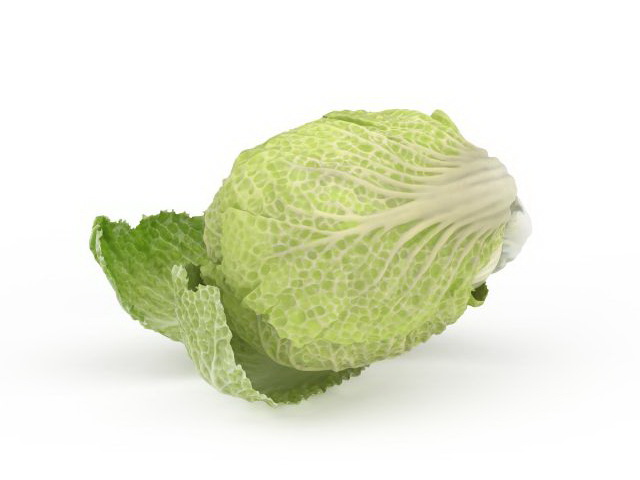 Celery cabbage 3d model