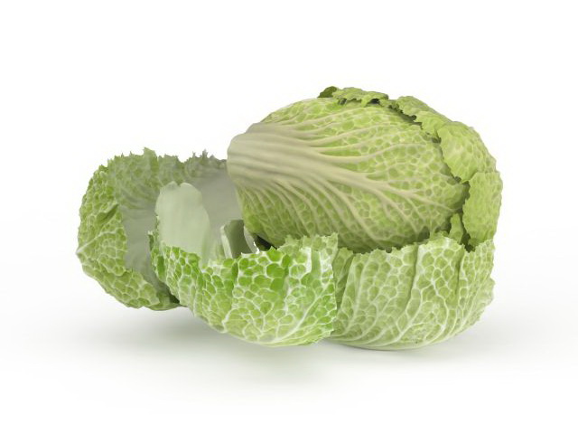 Celery cabbage 3d model