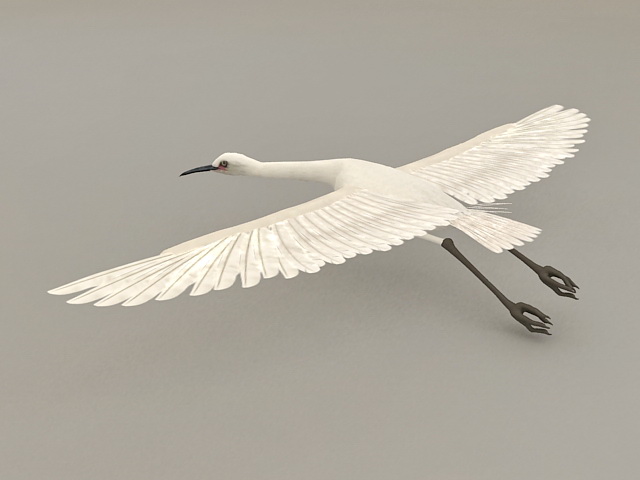 Flying Egret 3D model