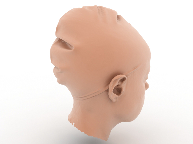 Head 3D model