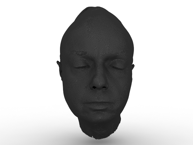 Head 3D model
