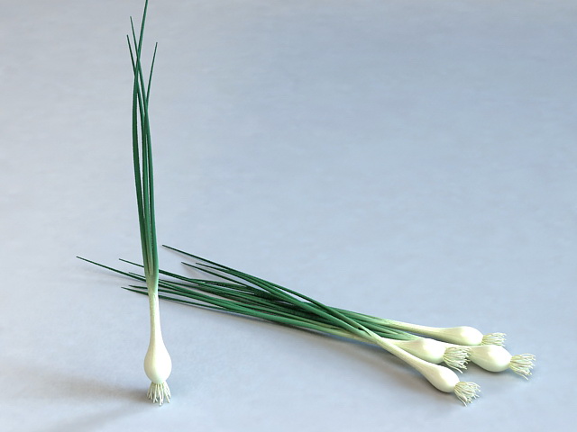 Onion Green 3D model