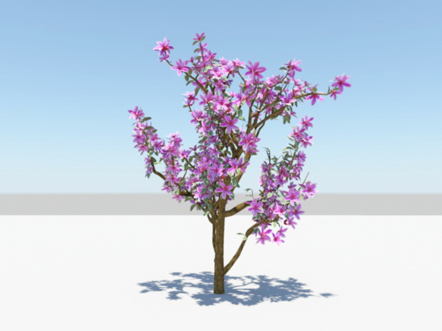 Purple Azalea Plants 3D model