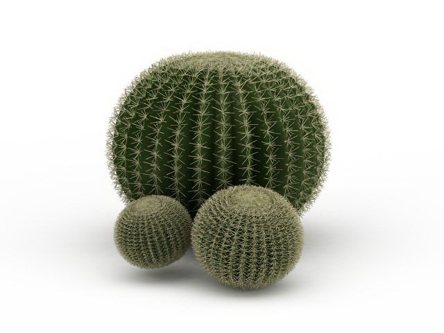 Silver ball cactus 3D model