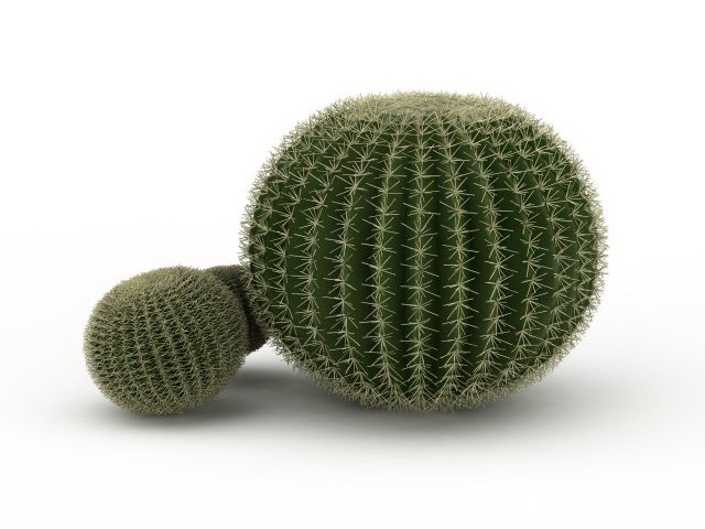 Silver ball cactus 3D model