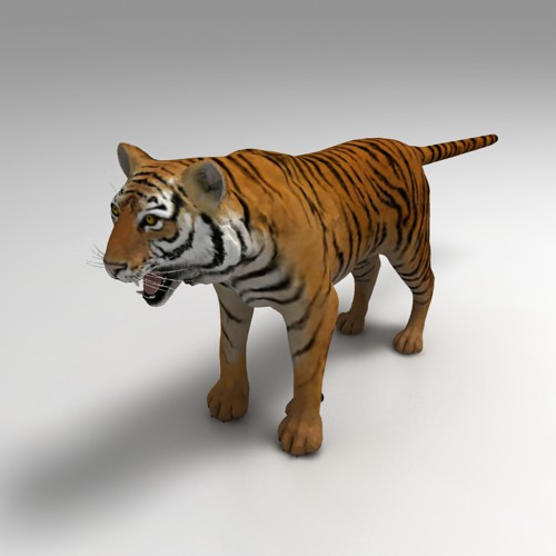 Tigre 3D Models download - Free3D