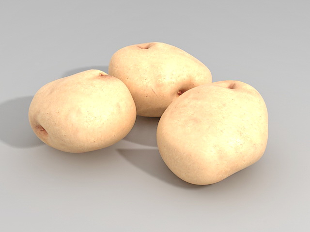White Potatoes 3D model