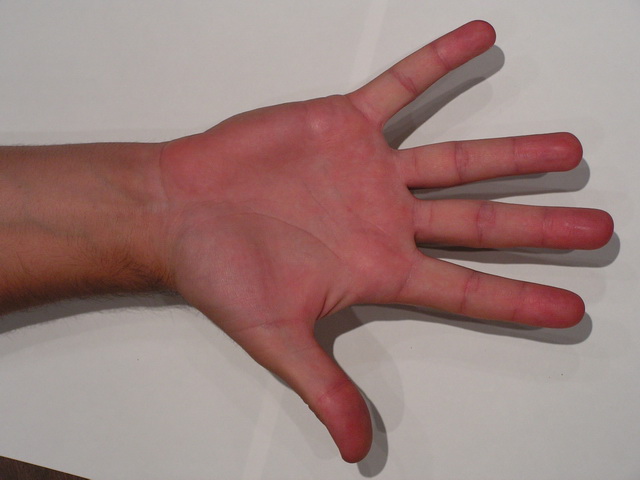 Human right hand 3D model
