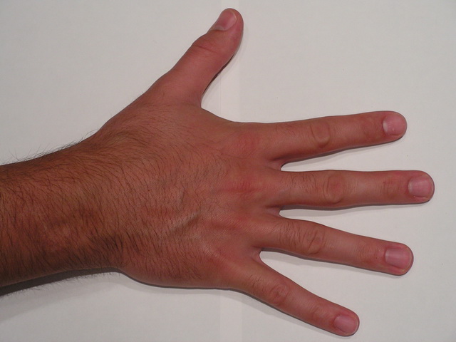 Human right hand 3D model