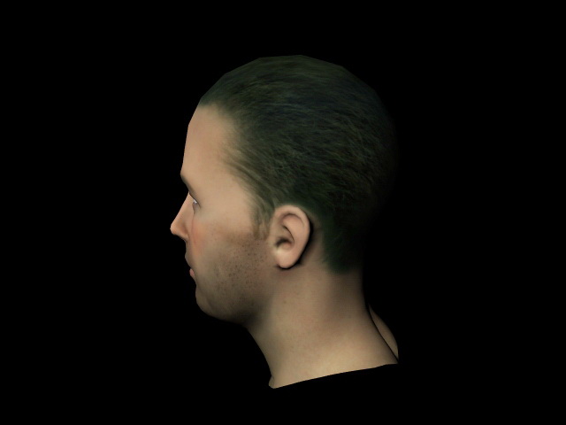 Male head 3D model