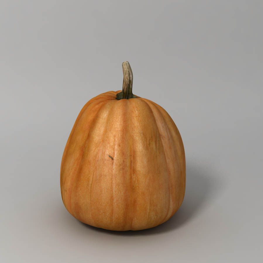 Pumpkin 3D model