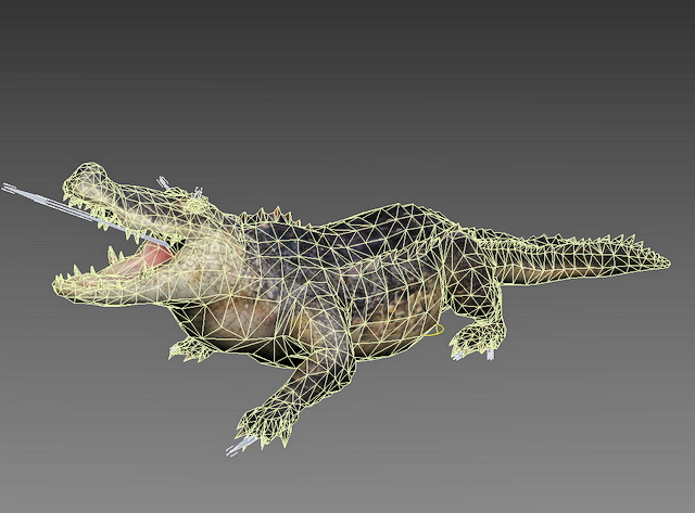 American Alligator 3D model