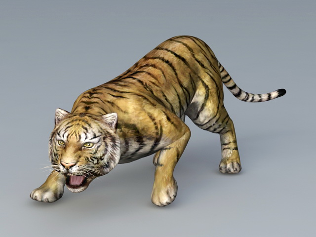 Attack Tiger - Free 3D models