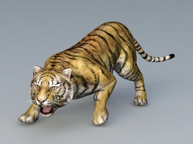 Tiger 3D models - Sketchfab