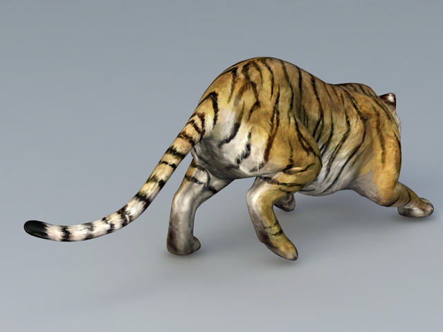 Attack Tiger 3D model