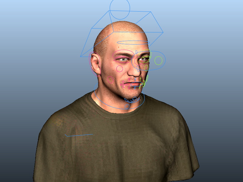 Bald head man 3D model
