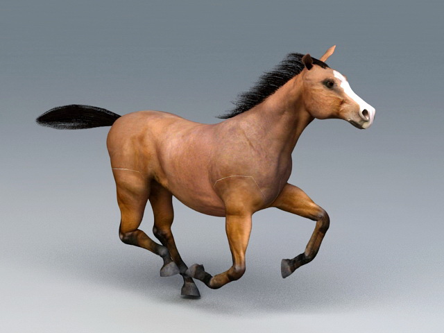 Horse Run 3D no Jogos 360