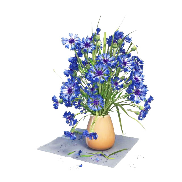Blue flowers in vase 3D model