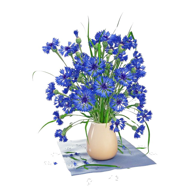 Blue flowers in vase 3D mode