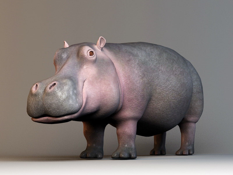 Cute hippopotamus 3D model