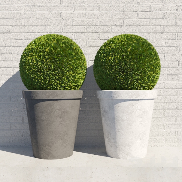 Decorative bush in a pot 3D model