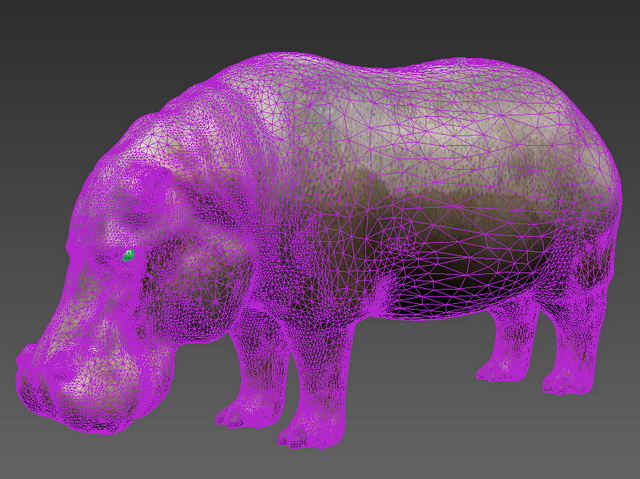 Fat Hippopotamus 3D model