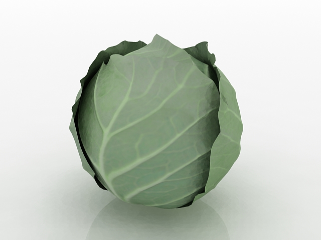 Green cabbage 3D model