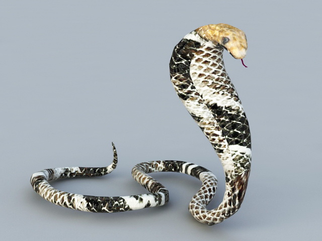 King Cobra Snake 3D model