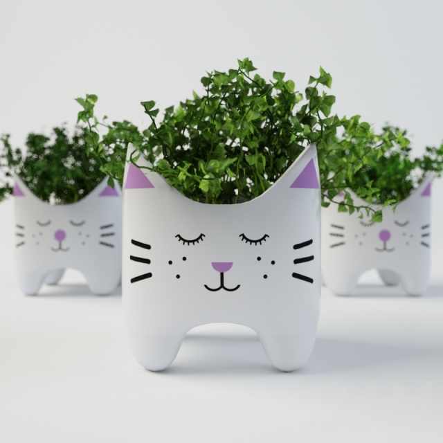 Plants in vases 3D model