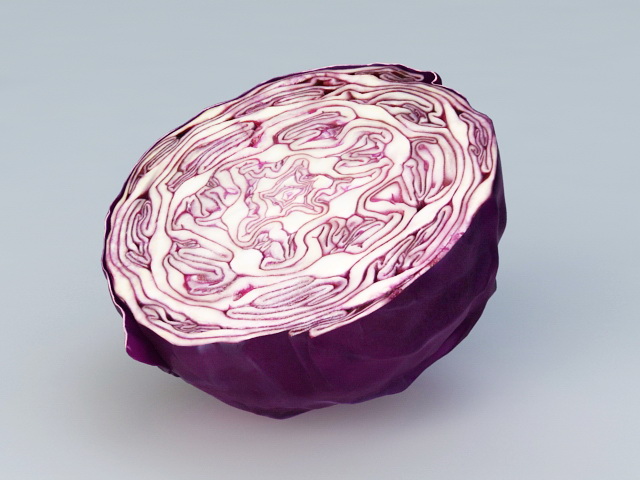 Purple Cabbage 3D model