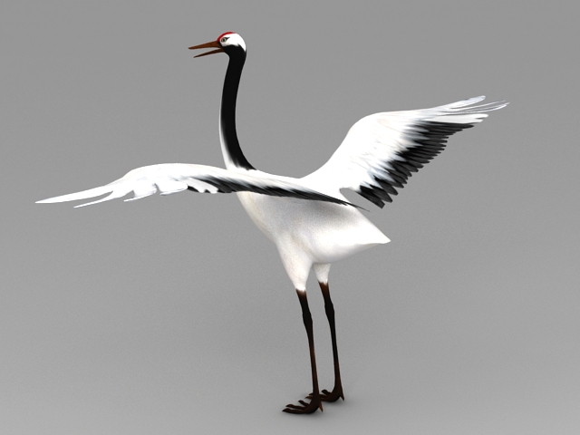 Red-crowned Crane 3D model
