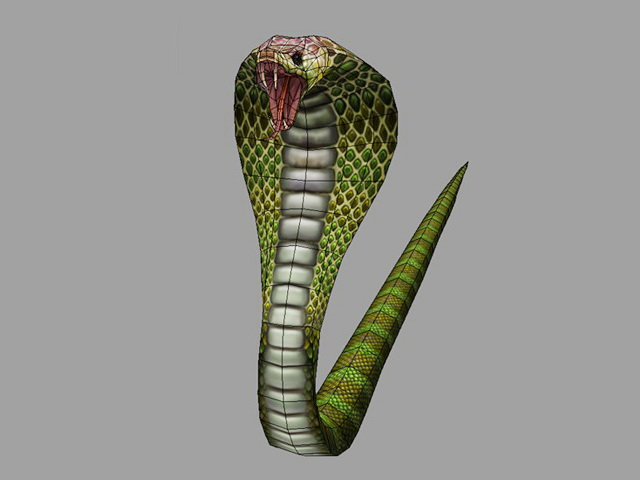 Snake Cobra Attacking 3D model