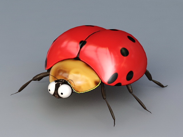 Spotted Ladybug 3D model