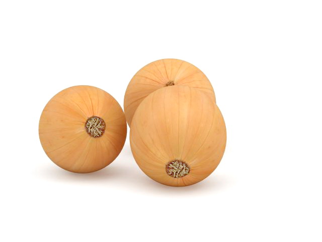 Yellow onions 3D model